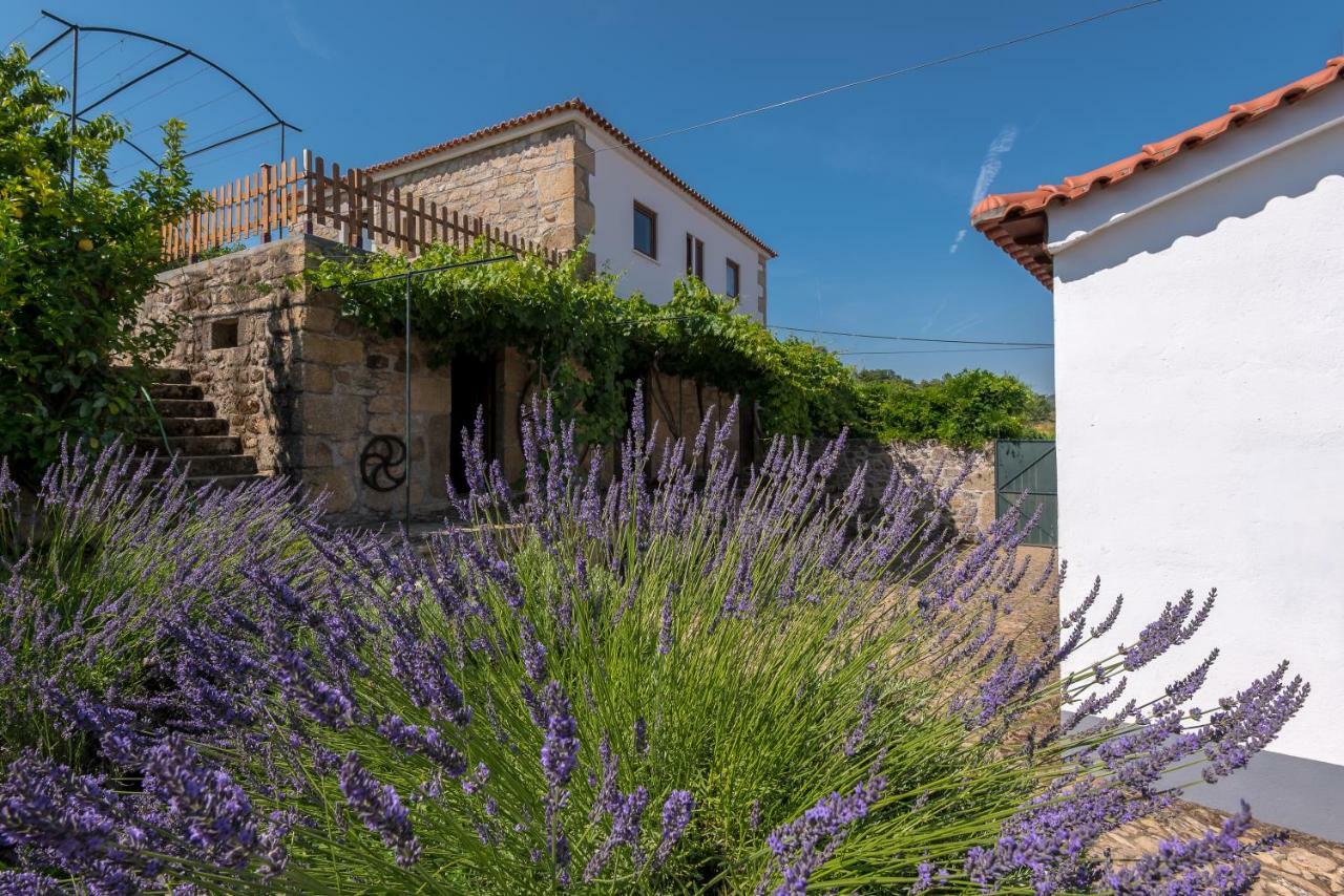 Quinta Do Acipreste Lamego Exteriör bild