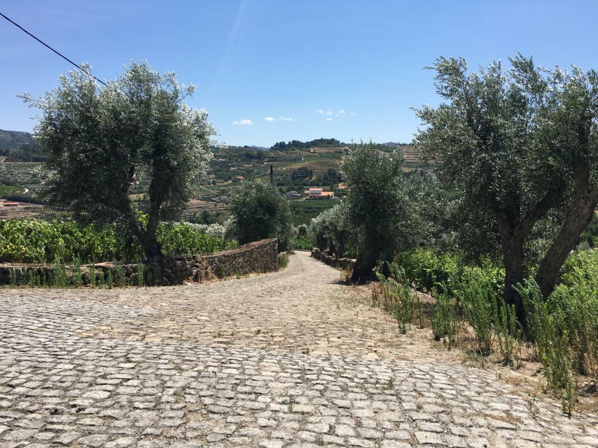 Quinta Do Acipreste Lamego Exteriör bild