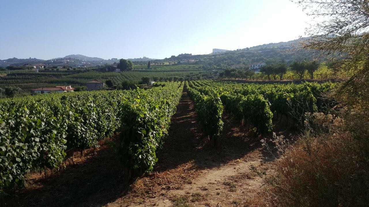 Quinta Do Acipreste Lamego Exteriör bild