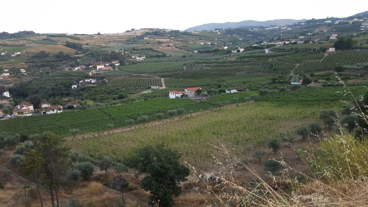 Quinta Do Acipreste Lamego Exteriör bild